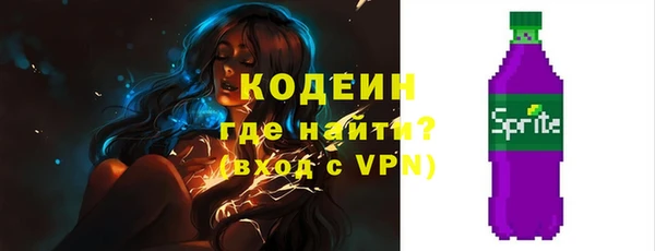 молекула духа Ельня